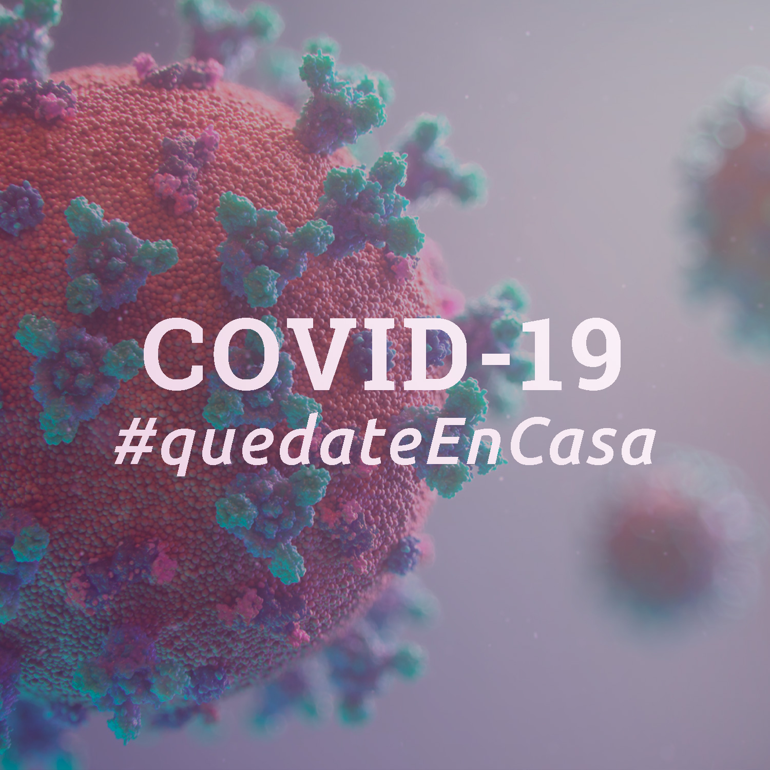 Las medidas de la DGT para frenar el Coronavirus